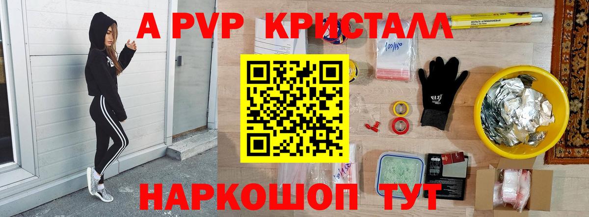 Alfa_PVP СК Тосно