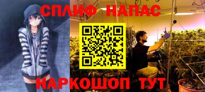 дживик Малгобек