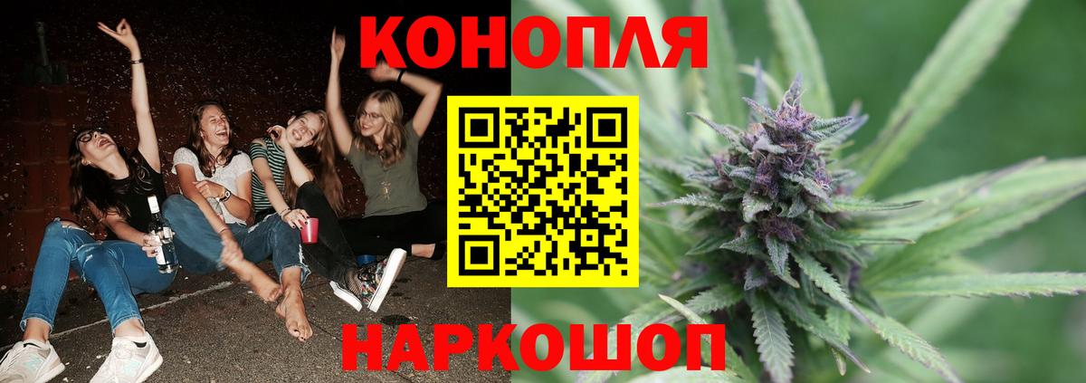 Бошки Шишки гибрид  Вход с VPN  Бошки Шишки LSD WEED  Марихуана Ganja  Тосно  Бошки Шишки сатива 